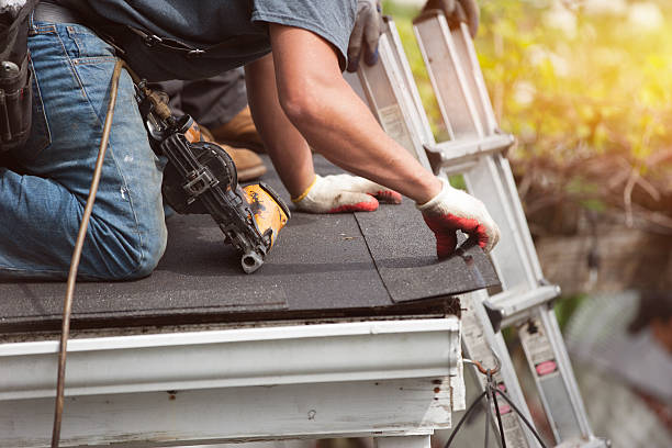 Best Roof Gutter Cleaning  in Roseburg Nth, OR